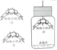 物質(zhì)的微粒性